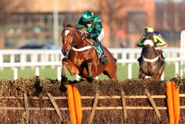 CATCH ME IF YOU CAN: Peace And Co and Daryl Jacob, jump the last to win the bet365 Summit Juvenile Hurdle at Doncaster. Picture: Simon Cooper/PA
