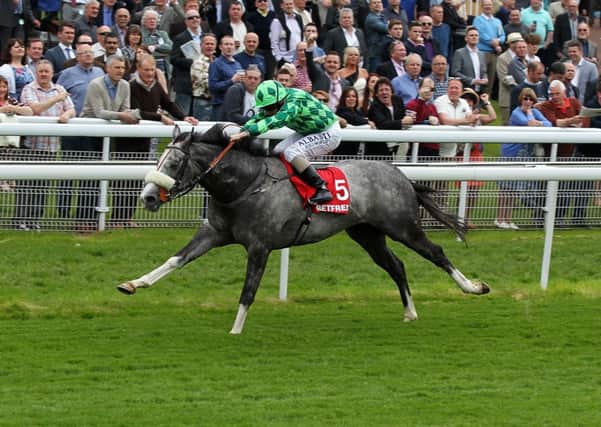 TOP YEAR: The Grey Gatsby ridden by Ryan Moore wins The Betfred Dante Stakes during day two of the Dante Festival. RACING York. Picture: Lynne Cameron/PA.