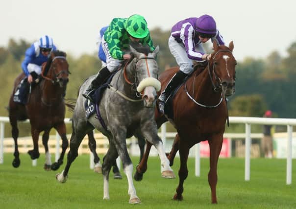 The Grey Gatsby ridden by Ryan Moore, centre, wins ahead of Australia, ridden by Joseph O'Brien, right, in The QIPCO Irish Champion Stakes during the Irish Champions Weekend at Leopardstown. Picture: Niall Carson/PA.
