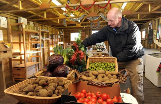 Stephen Snowden of Hawthorn House, Farm, Dunkeswick, Harewood with his vegetables