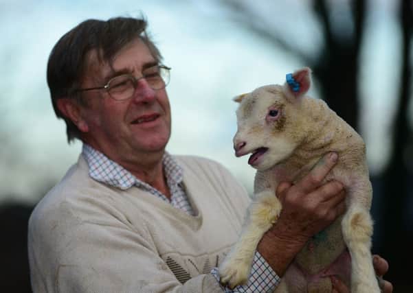 Sheep farmer Edwin Pocock of Totley Hall Farm in Sheffield.