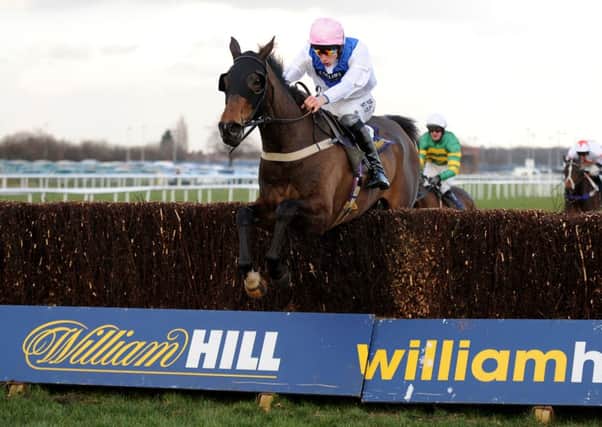 COURSE SPECIALIST: Night In Milan is one of four Yorkshire-trained entries for the Sky Bet Chase at Doncaster.