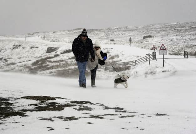 Dog walkers in the snow on the Pennine hilltops near Reeth in the Yorkshire Dales
