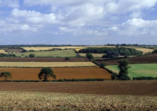 Farmland prices are set to keep growing.