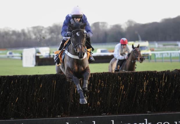 STRIKE TWO: Mwaleshi, ridden by Jonathan England, jumps the final fence on their way to victory in the Graduation Chase at Haydock Park, the second of two victories for Yorkshire trainer Sue Smith, the first coming from Wakanda under Danny Cook. Pictures: John Giles/PA.