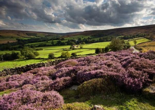 The North York Moors National Park. Picture: Mike Kipling