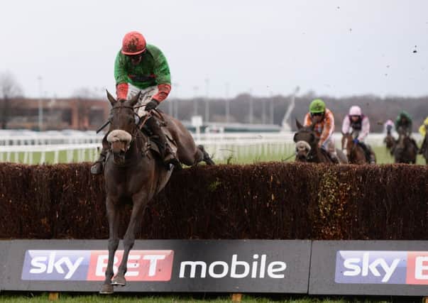 The Rainbow Hunter and Nick Schofield jump the final fence as they go on to win the Sky Bet Chase at Doncaster last year. Picture: John Giles/PA.