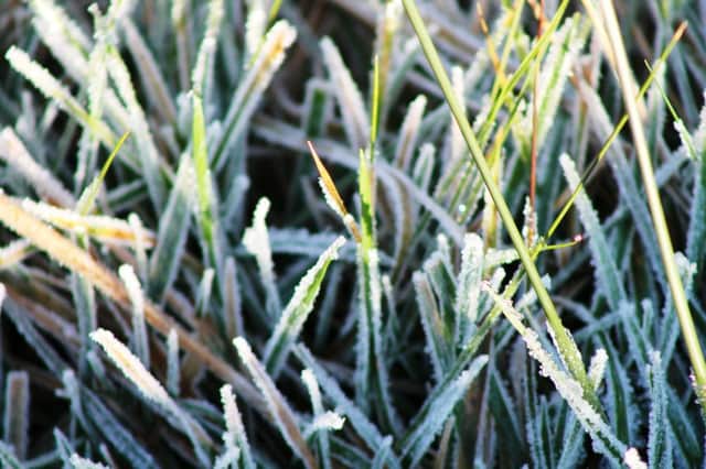 Frost on grass means the lawn is vulnerable to damage