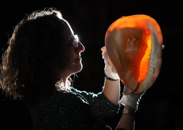 Curator Rebecca Machin with a Helmet Shell. Picture by Simon Hulme