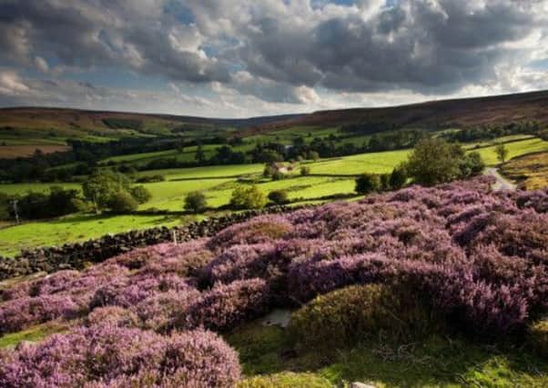 North York Moors National Park. Picture: Mike Kipling/North York Moors National Park