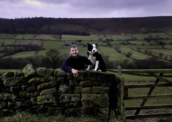 Sheepdog Ella with North Yorkshire Moors apprentice farmer Sam Leng. Picture: Kor