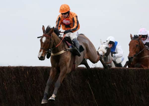Ned Stark ridden by Denis O'Regan jumps the last on their way to victory in the bet365 Novice' Limited Handicap Chase during The bet365 Hennessy Festival at Newbury Racecourse, Berkshire. (Picture: David Davies/PA Wire).
