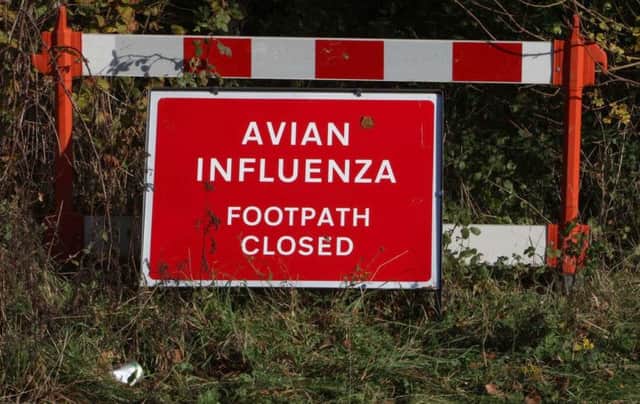 A case of bird flu has been detected at a farm in Hampshire.