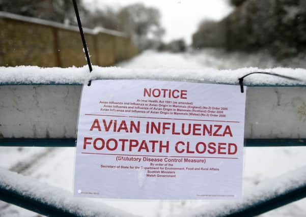 Experts are working to establish the source of an outbreak of bird flu at a farm in Hampshire. Pic: Andrew Matthews/PA Wire