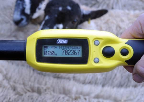 Sheep electronic identification rules will be discussed at Skipton.
