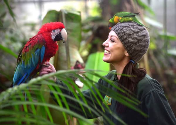 Heather Scott with parrots Alfie and Luna at The Tropical Butterfly World. Picture: Scott Merrylees
