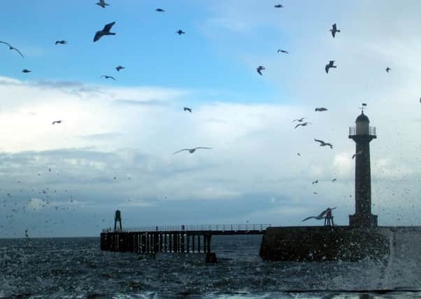 Whitby's harbour and piers