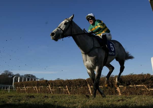 Alvisio Ville ridden by Tony McCoy clears the last on the way to placing third in the Deloitte Novice Hurdle during the Hennessy Gold Cup Day at Leopardstown Racecourse, Ireland.