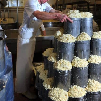 Cheese making at the famous Wensleydale Creamery in Hawes, deep in the Yorkshire Dales. Pictures by Tony Johnson