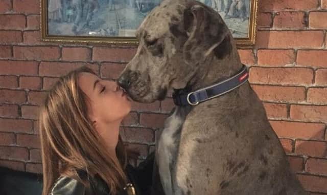 Lisa Laurence and Ted the Great Dane