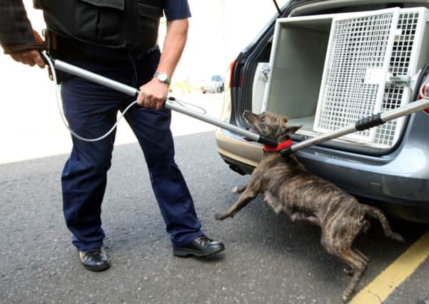 More dangerous dogs are being seized in West Yorkshire