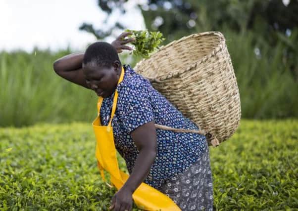 The Fairtrade movement has helped countless producers like this Kenyan tea farmer (credit Simon Rawles).