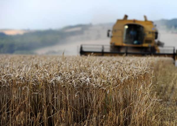 Farmers have warned of a shortage in British food