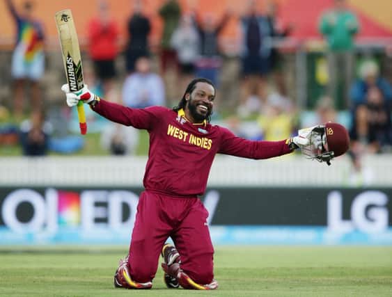 West Indies' Chris Gayle celebrates after scoring a double century.