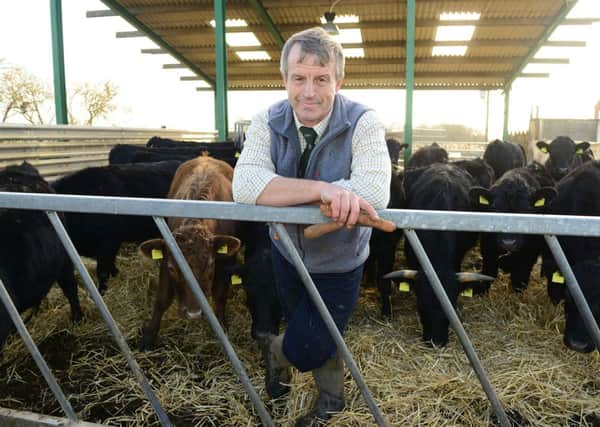 Alan Turner with his Axholme Dexter Beef herd.