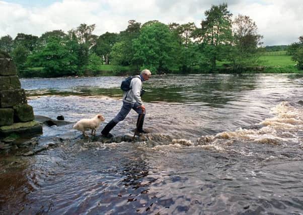 Brian Spence , secretary of the Burley-in-Wharfedale Footbridge Committee, ventures across the stepping stones on the River Wharfe at Greenholme near Burley