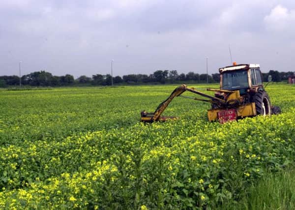 MPs say opposition to the use of GM crops throughout Europe is holding the UK back.