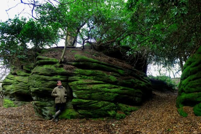 Robert Hunter, owner of  Plumpton Rocks near Harrogate, which will be restored to  its former glory when some trees and shrubbery  are removed .