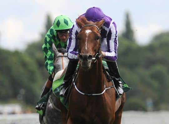 Australia ridden by Joseph O'Brien win the Juddmonte International Stakes during Day One of the 2014 Welcome To Yorkshire Ebor Festival
