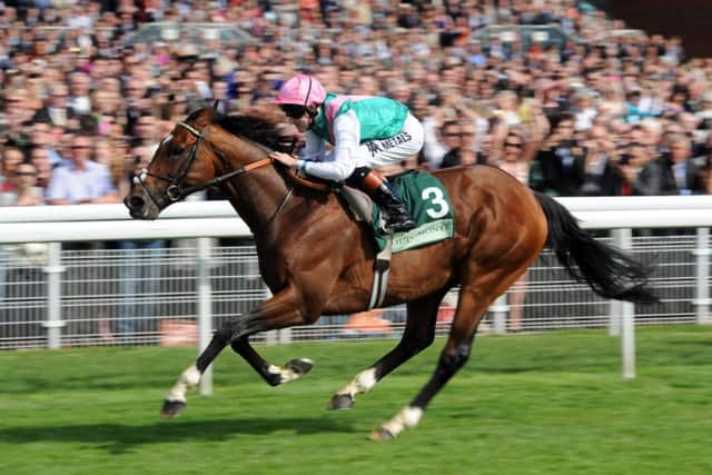 Frankel ridden by Tom Queally wins the Juddmonte International Stakes during day one of the 2012 Ebor Festival at York
