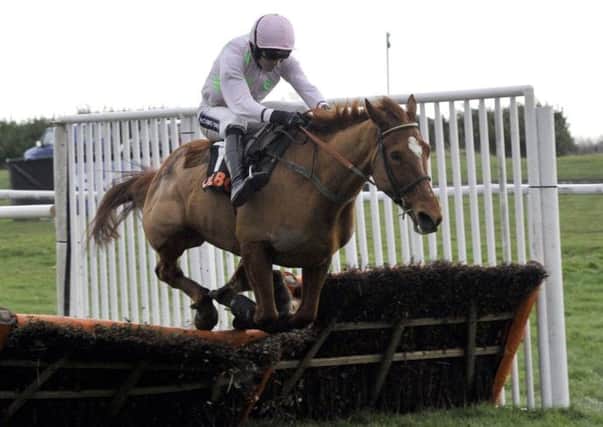 GOOD BET: Annie Power, seen in action at Doncaster last year, is likely to run in the OLBG Mares Hurdle at Cheltenham.