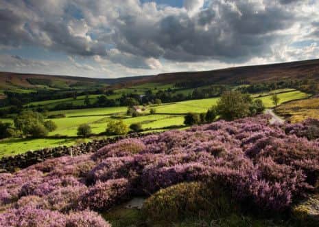 The North York Moors National Park Picture: Mike Kipling/North York Moors National Park