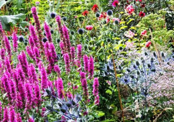 This months weather is no excuse for ignoring your herbaceous border.