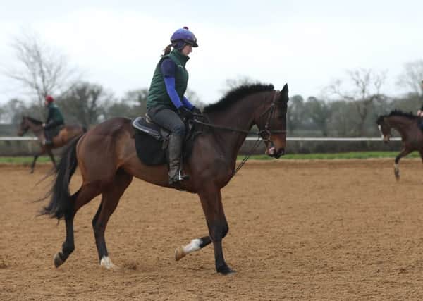 Douvan on the gallops during a visit to Closutton, Carlow, Ireland. (Picture: Niall Carson/PA Wire).