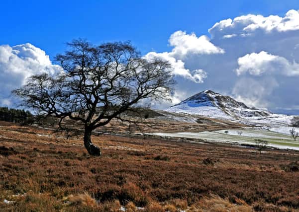 Moorland with a backdrop of Hawnby Hill between Helmsley and Osmotherley in North Yorkshire.PIC: Tony Johnson