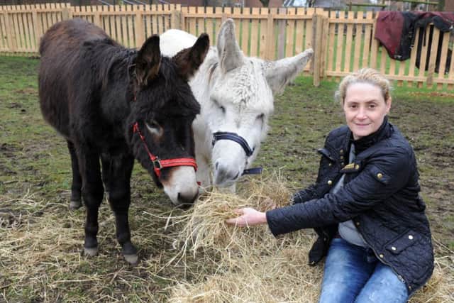 Debbie Wood of the Falconers Rest pub, Leeds, has installed donkeys Bobby and Charlie in the beer garden.