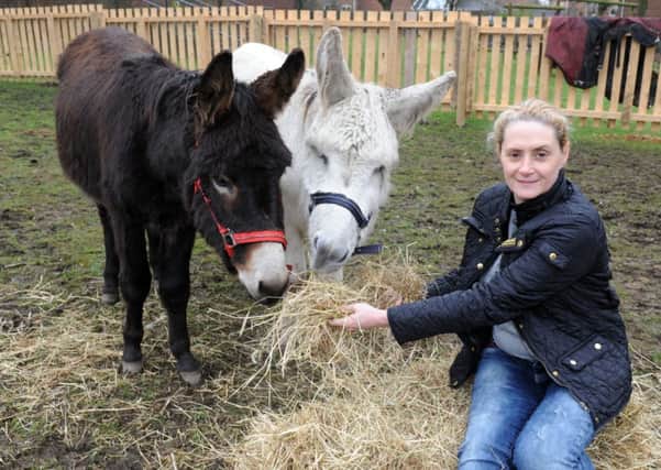 Debbie Wood of the Falconers Rest pub, Leeds, has installed donkeys Bobby and Charlie in the beer garden.
