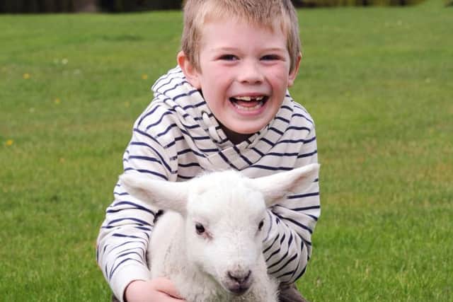 Eight-year-old Bradley Taylor from Skipton  with a lamb at Springtime Live event in 2014