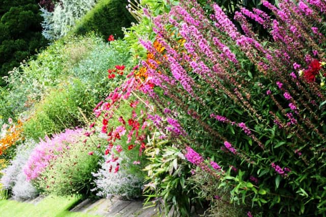 Open gardens offer a world  of colour and interest to visitors.