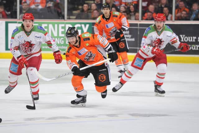 Robert Dowd  scored Sheffield Steelers' equalising goal against Cardiff Devils. Picture: Dean Woolley.