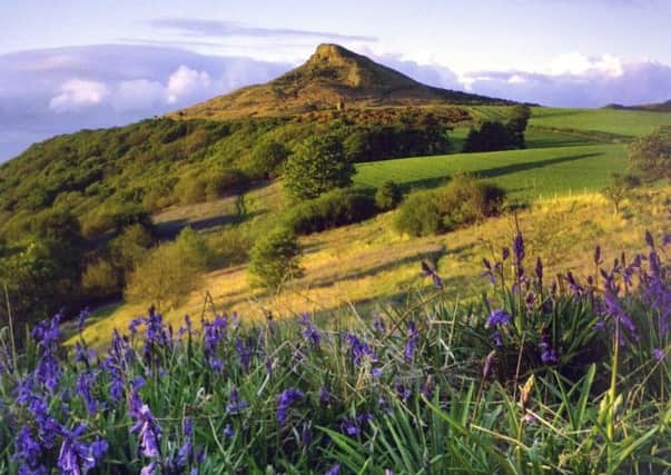 Roseberry Topping, North Yorkshire, one of the most dramatic places to spot bluebells. Picture: Visit Britain