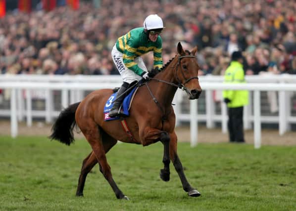 NO GO: Carlingford Lough with jockey Tony McCoy at Cheltenham earlier this month. Picture: David Davies/PA.