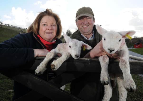 Julia and John Warters have diversified into glamping alongside their livestock and arable enterprises at Humble Bee Farm.