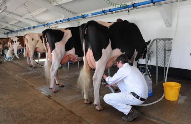 Uncertain times face dairy farmers as EU milk quotas come to an end today.  Pic: Anna Gowthorpe/PA