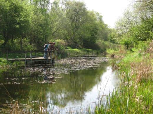 Doncaster also does green spaces, like the Potteric Carr Nature Reserve which is managed by Yorkshire Wildlife Trust.