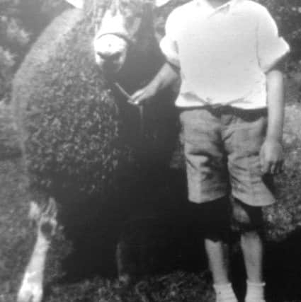 Picture by Tony Bartholomew:  Brian Glaves of well known butchers Glaves of Brompton-by-Sawdon near Scarborough photographed aged 7 with an Old English Leicester sheep owned by his father who was a leading breeder.